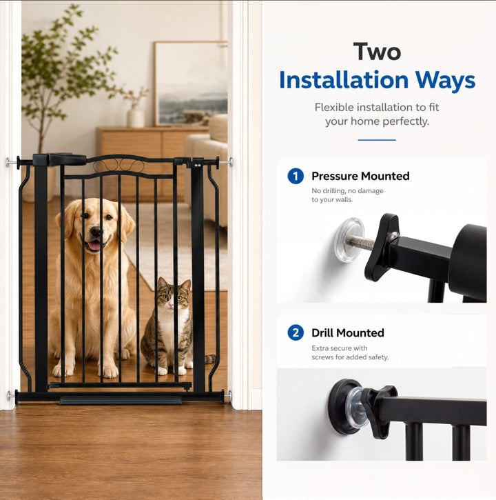 Scroll Accent EX-Wide Dog Gate - Black