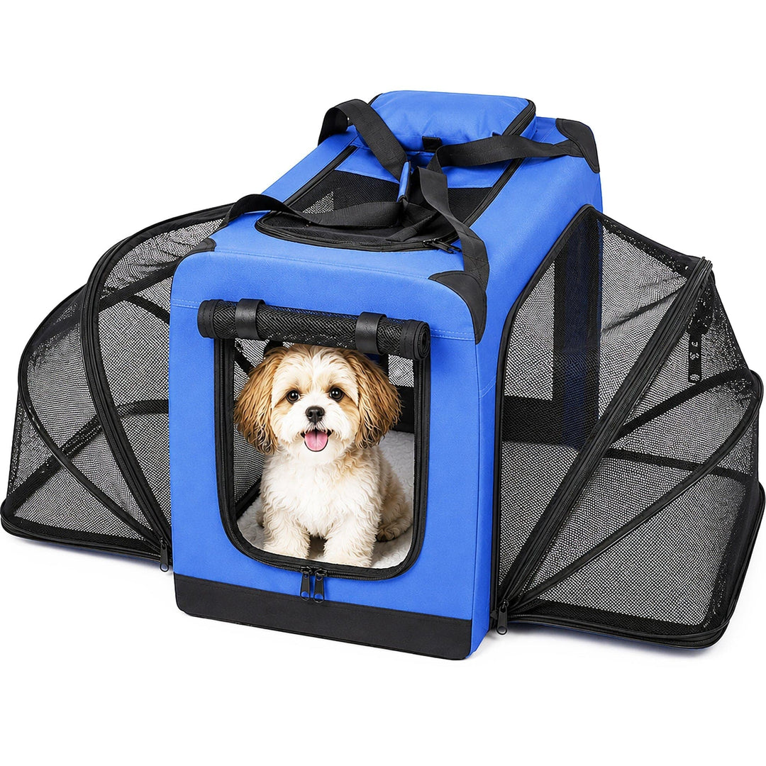 A blue and black collapsible pet carrier with mesh sides, shown with a small fluffy dog sitting inside on a white background.