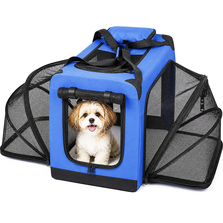 A blue and black collapsible pet carrier with mesh sides, shown with a small fluffy dog sitting inside on a white background.