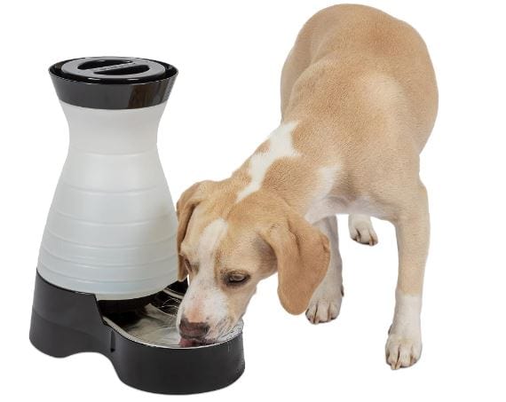pet-safe-gravity fill-auto-dog-water bowl w stainless bowl