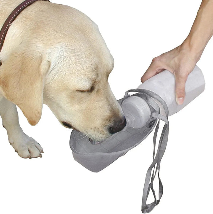 Dog Water Dispenser Bottle with Cup