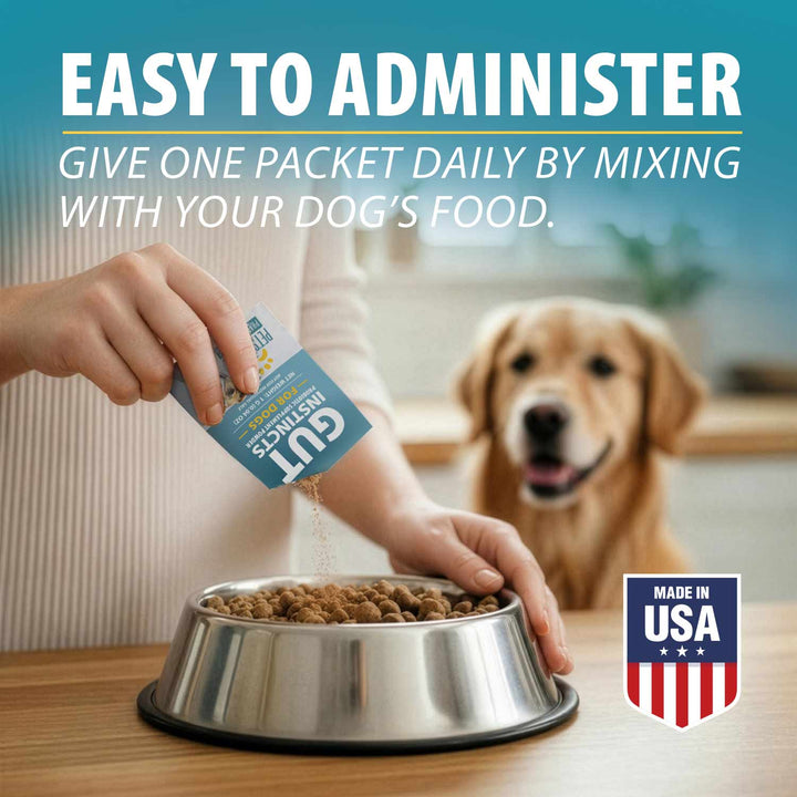 howto use Pets Choice Gut health probiotic supplement powder for dogs 