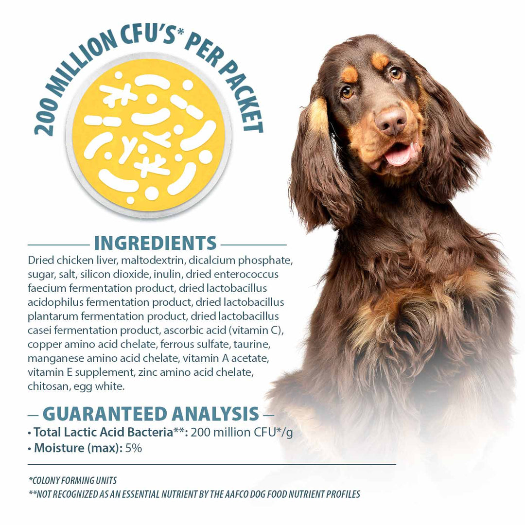 probiotic powder Ingredients