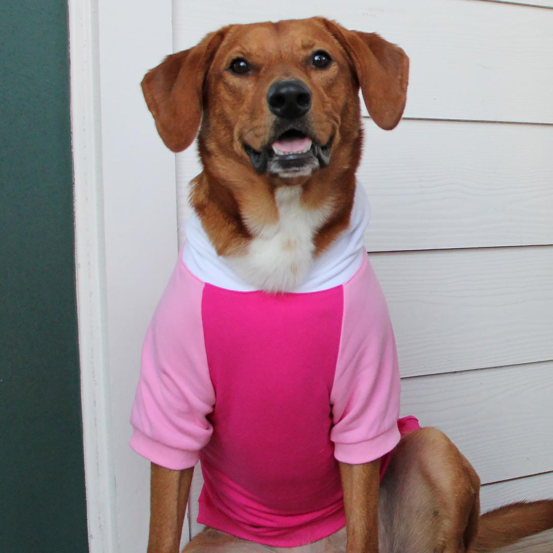 pink dog sweatshirt with hood and sleeves