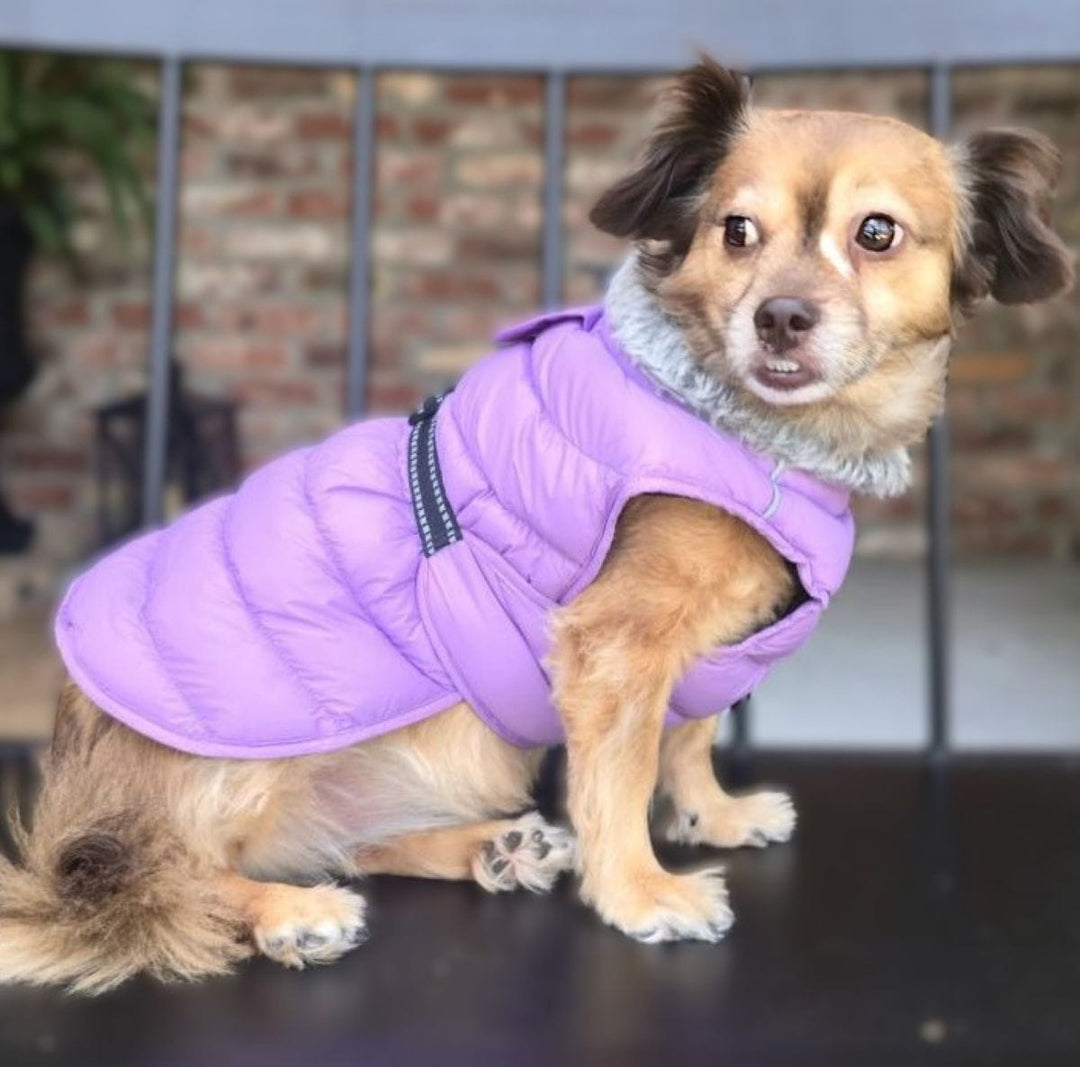 Alpine Puffer Coat - Plum