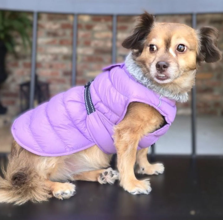 Alpine Puffer Coat - Plum