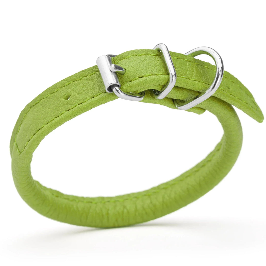 Rolled Leather Dog Collar - Lime Green