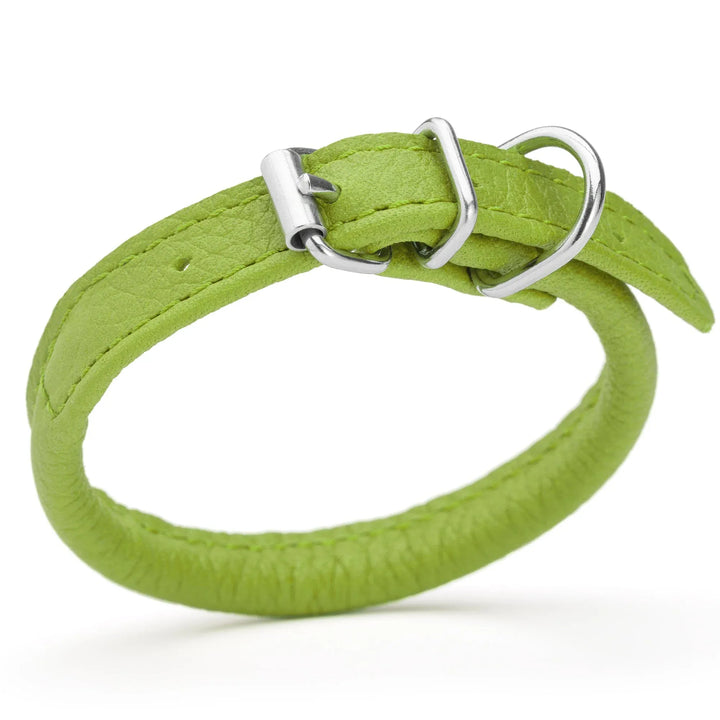 Rolled Leather Dog Collar - Lime Green