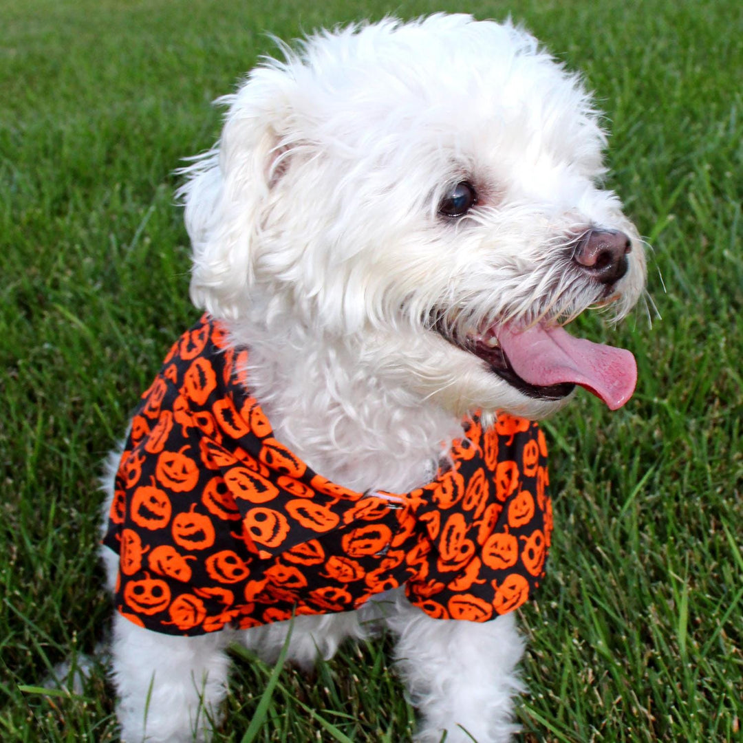  orange and black Halloween jacko lantern shirt