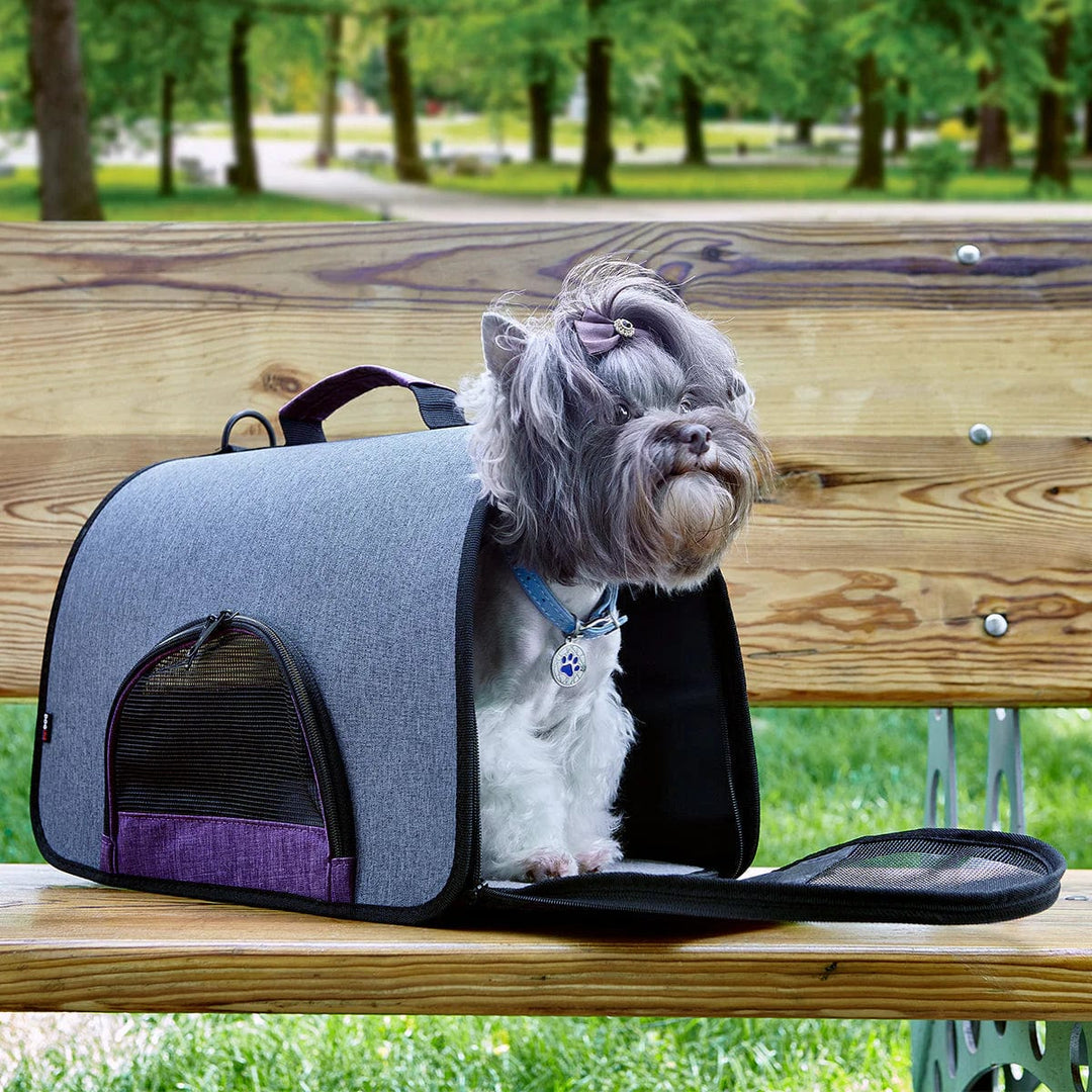 DC Airplane Approved Carrier - 4 Colors