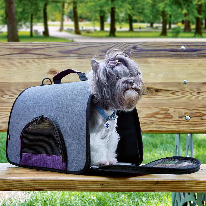 DC Airplane Approved Carrier - 4 Colors