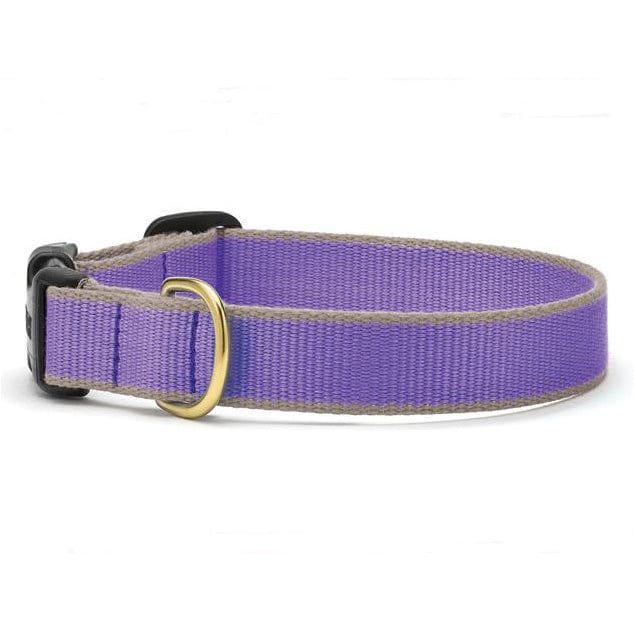 purple solid dog collar gray trim woven