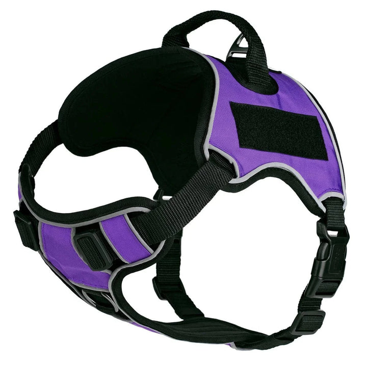 purple dog harness no pull