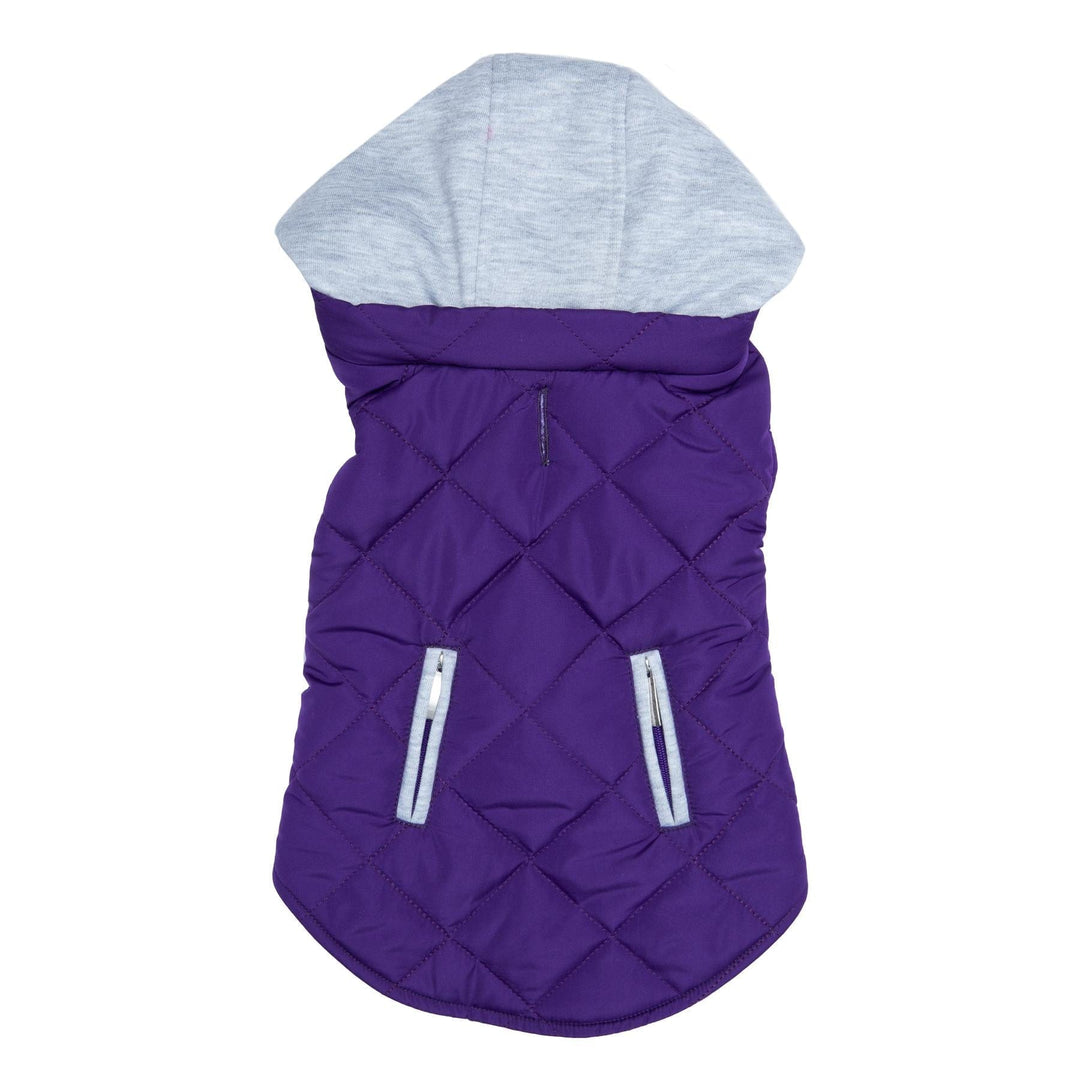 purple dpg hoodie