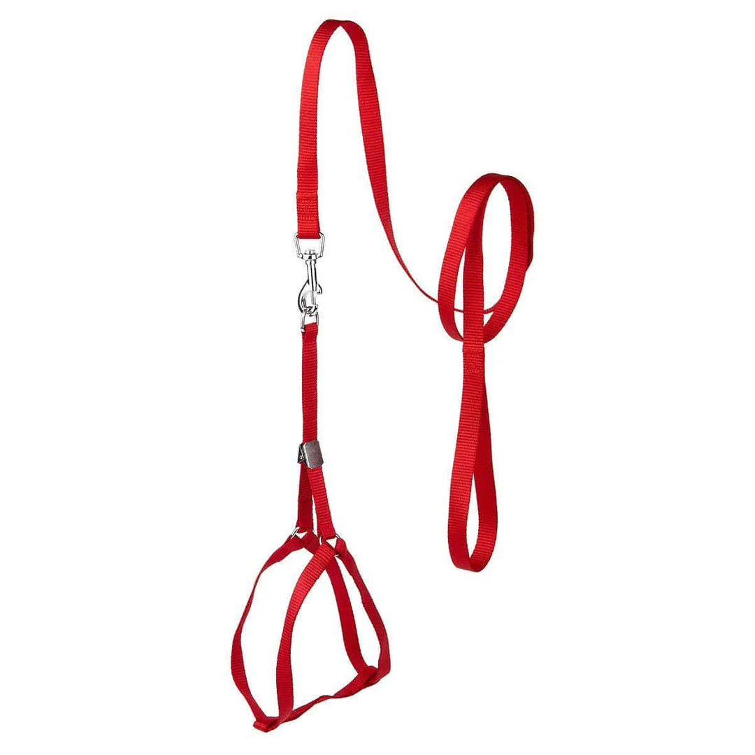 red small dog leash harness combo set