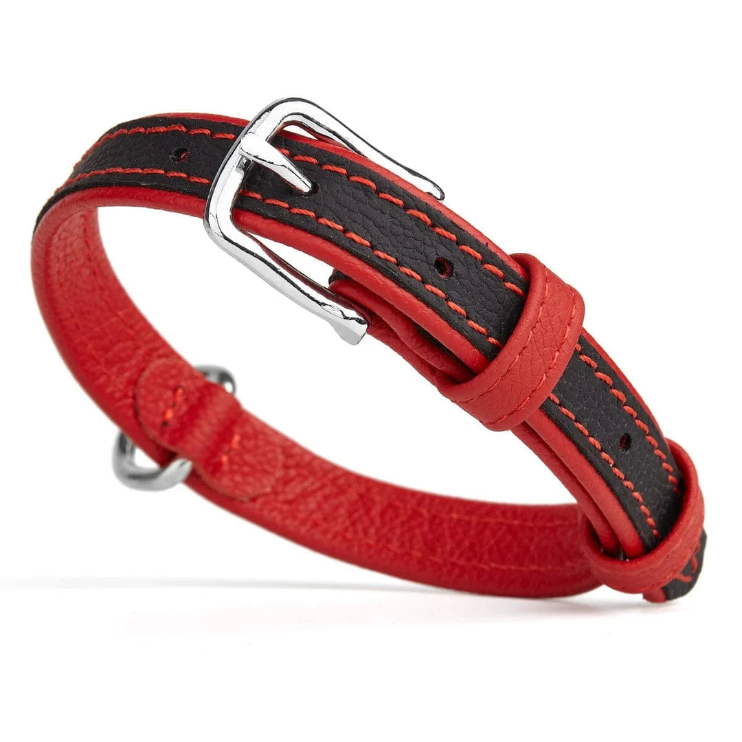 red padded leather dog collar nostretch
