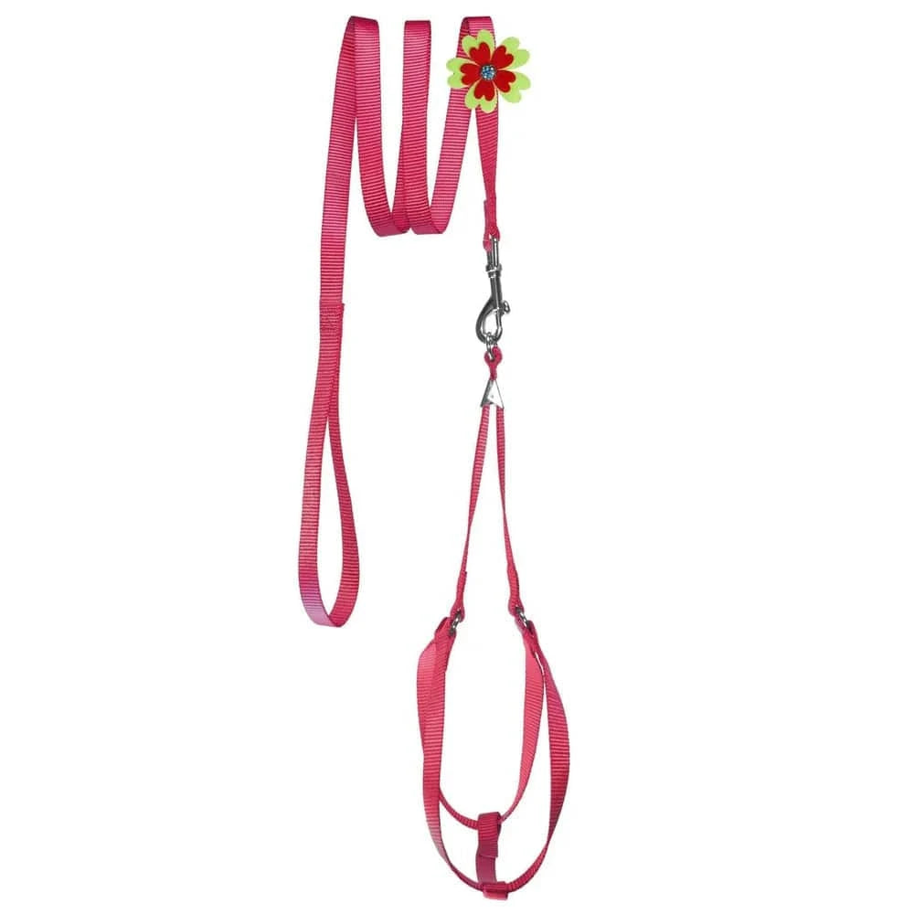 Step-In Harness & Lead