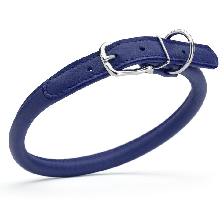  blue royal blue-leather premium rounded collar for dogs with silver buckle hardware