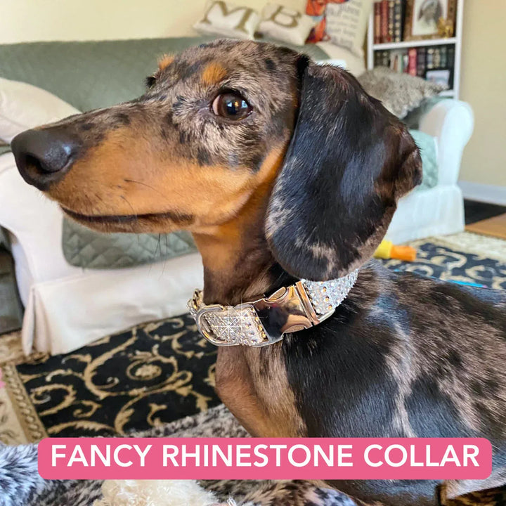 Silver Bling Collars with Rhinestones