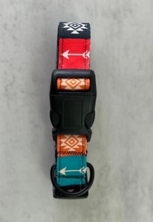 Southwestern Collar/Leash set