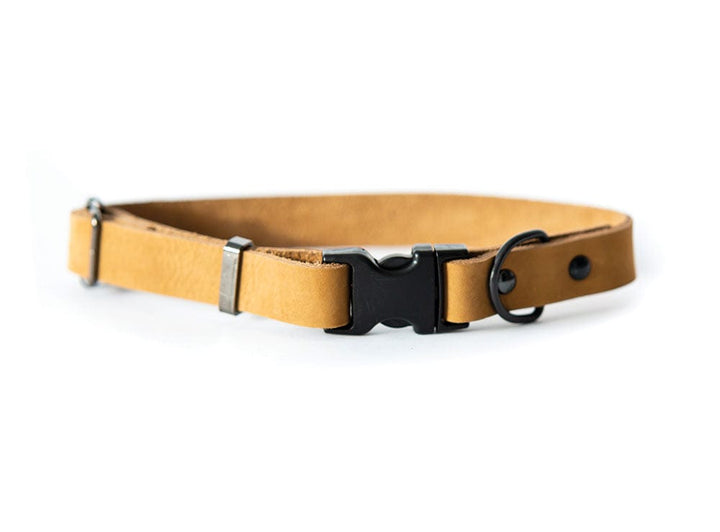 Tan Leather Collar w quick release buckle