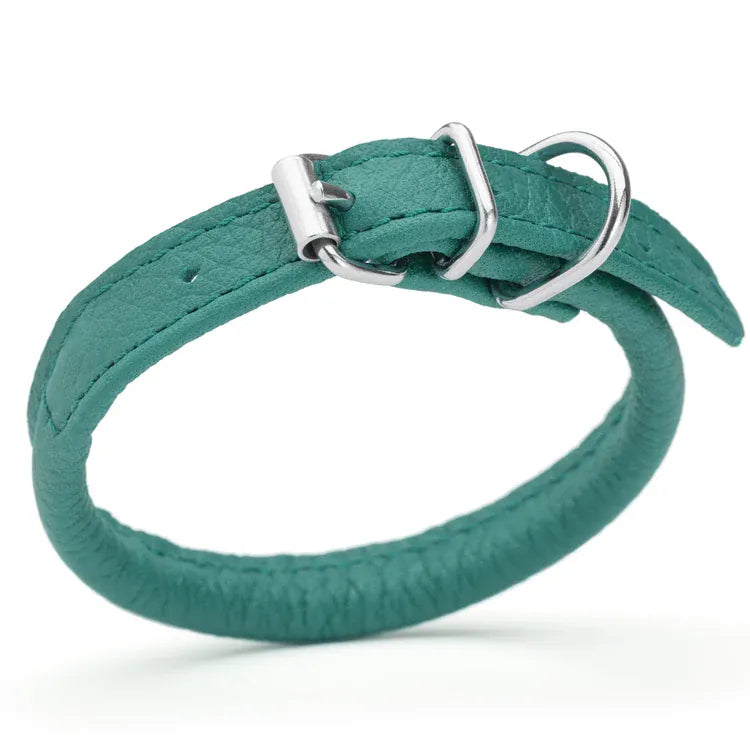 Rolled Leather Dog Collar - Teal