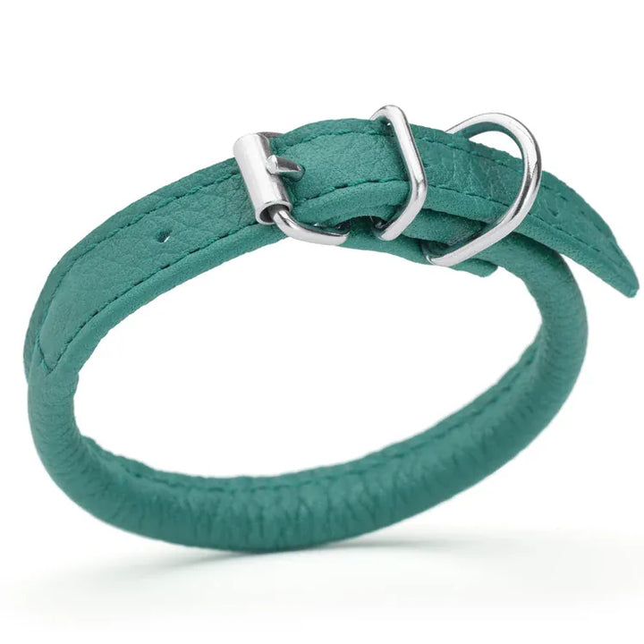 Rolled Leather Dog Collar - Teal