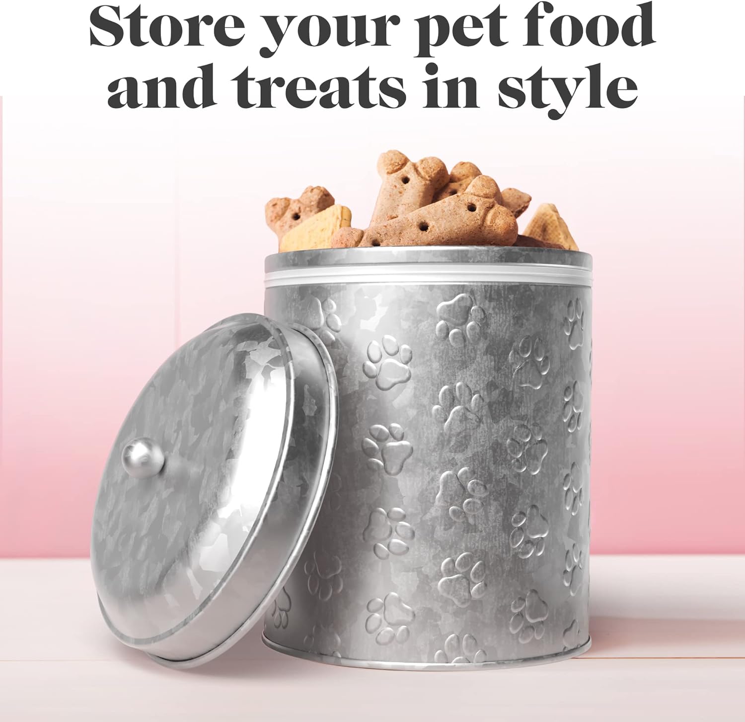 Galvanized pet food outlet container