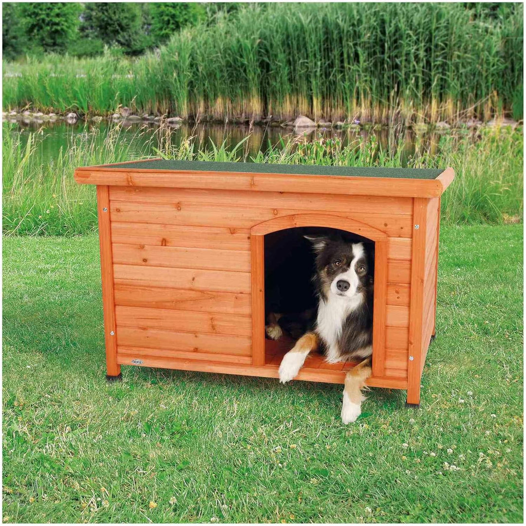 Backyard Dog House