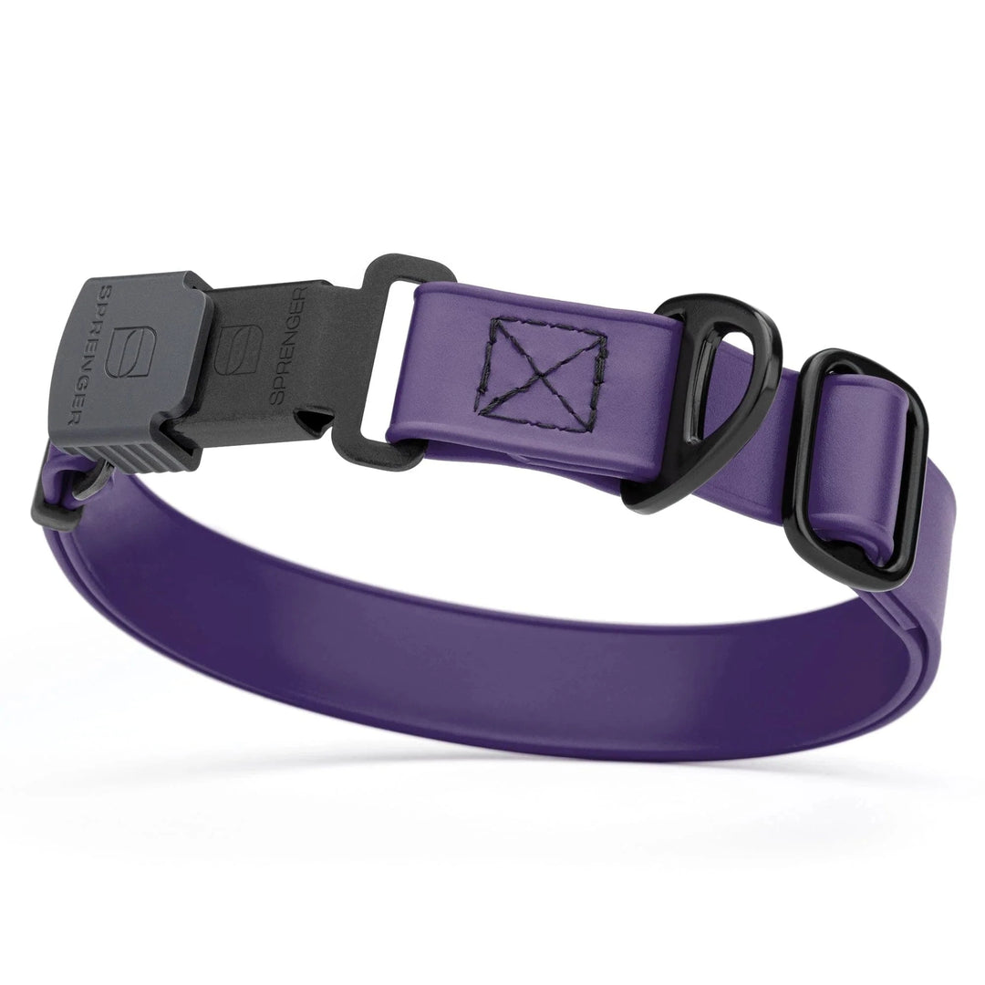 violet flex dog collar w black stainless hardware