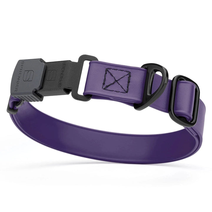 violet flex dog collar w black stainless hardware