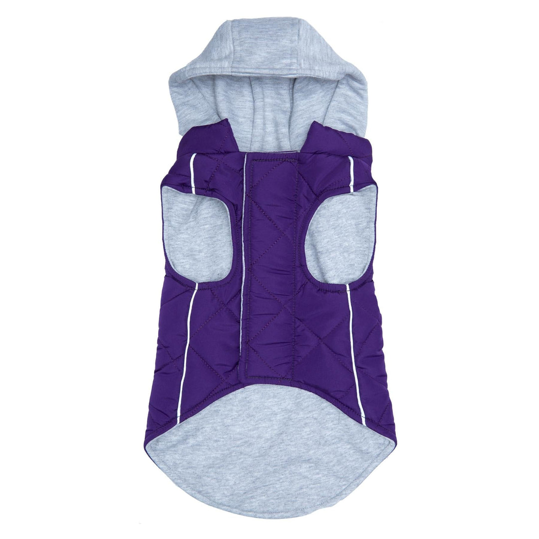 purple sweatshirt for dog with hood