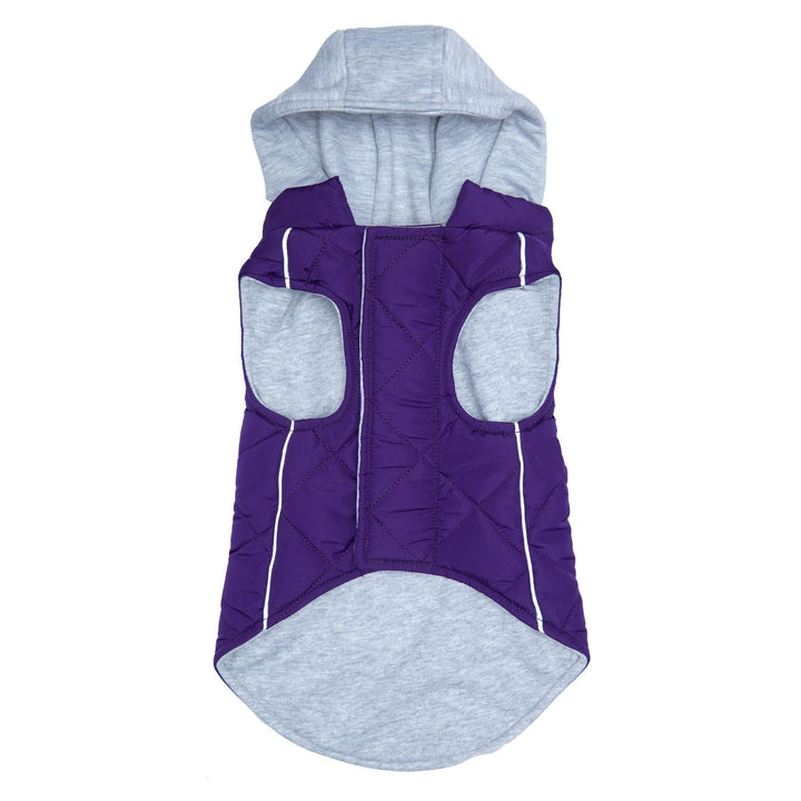 purple sweatshirt for dog with hood