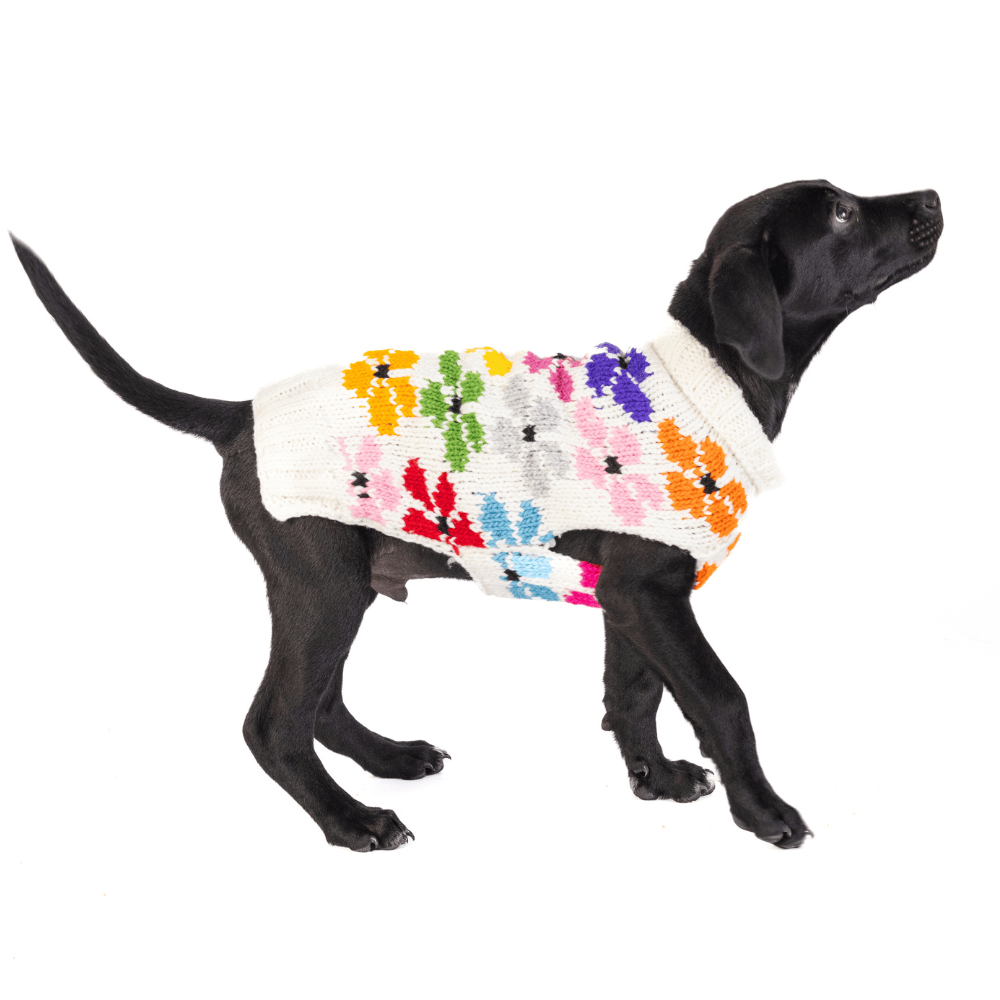bloming flowers doggy sweater