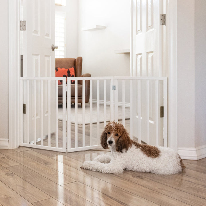 white 3 panel dog doorway pet barrier