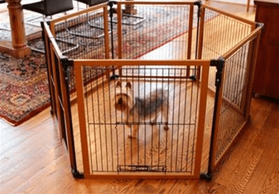 Pet Gate Converts Puppy PlayPen