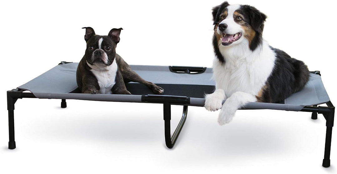 Elevated Dog Cot -gray