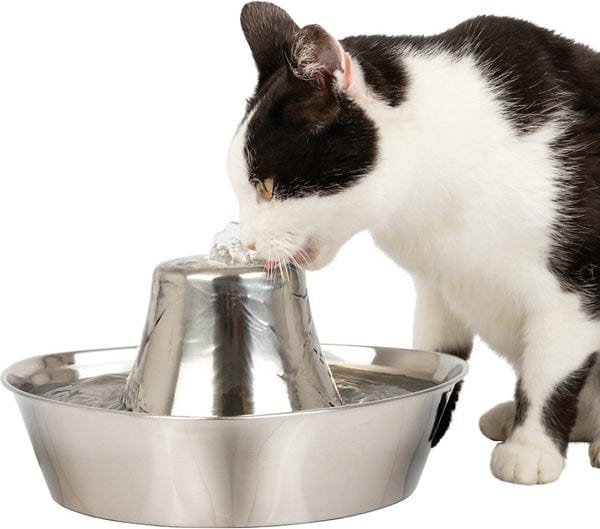 Stainless Pet Water Fountain