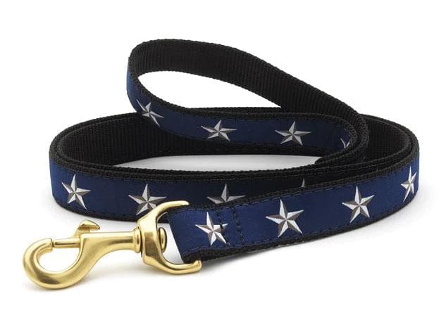 blue dog leash with white stars