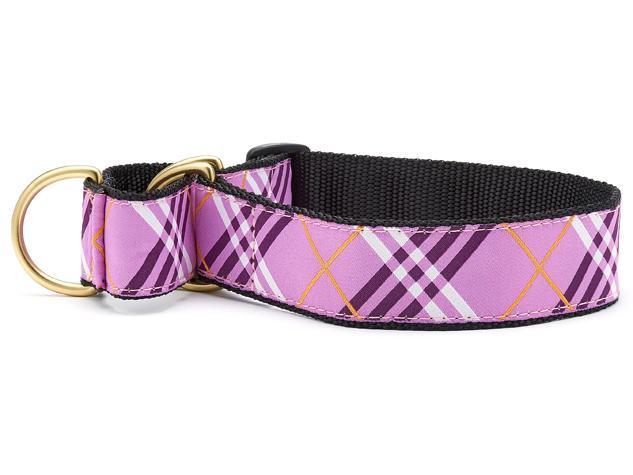 lavbender martingale dog collar