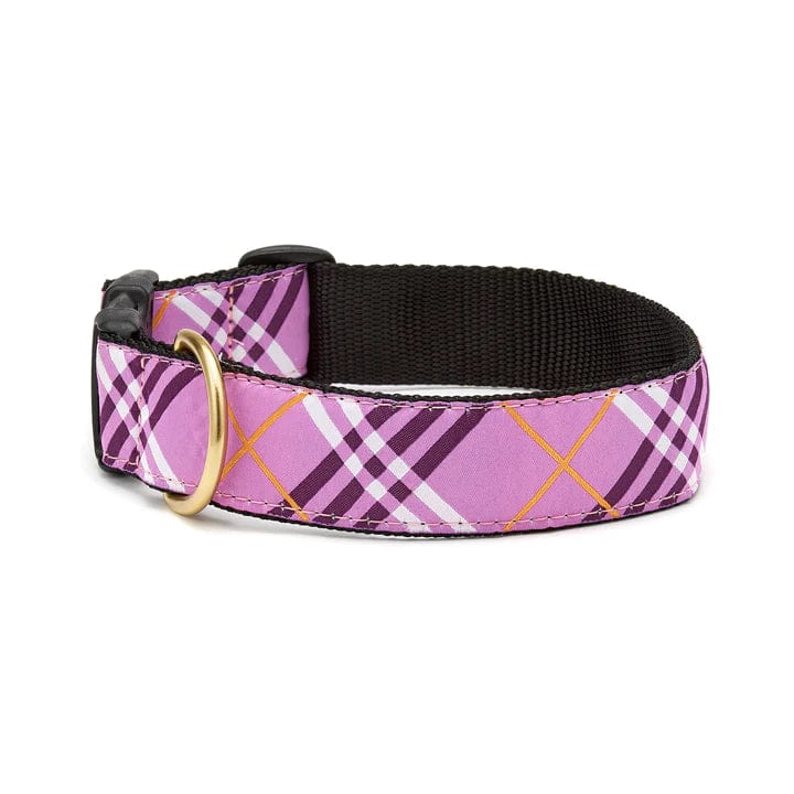 lex wide dog collar -lavender check -brass hardware