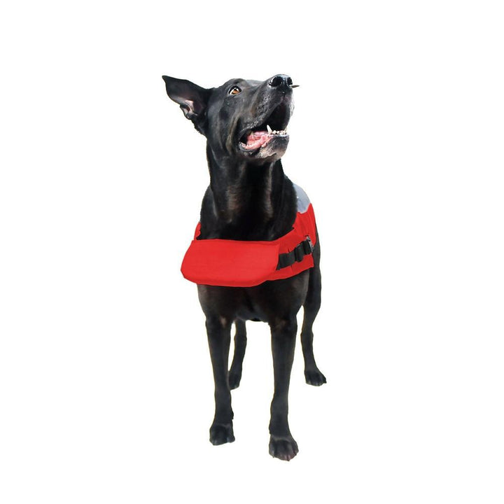 dog-floatation-harness