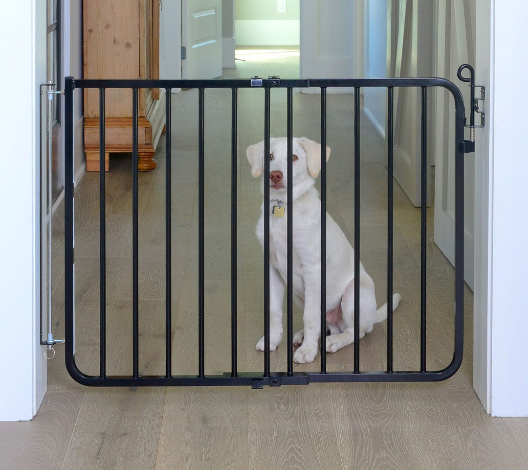 black doorway dog gate-wall mounted