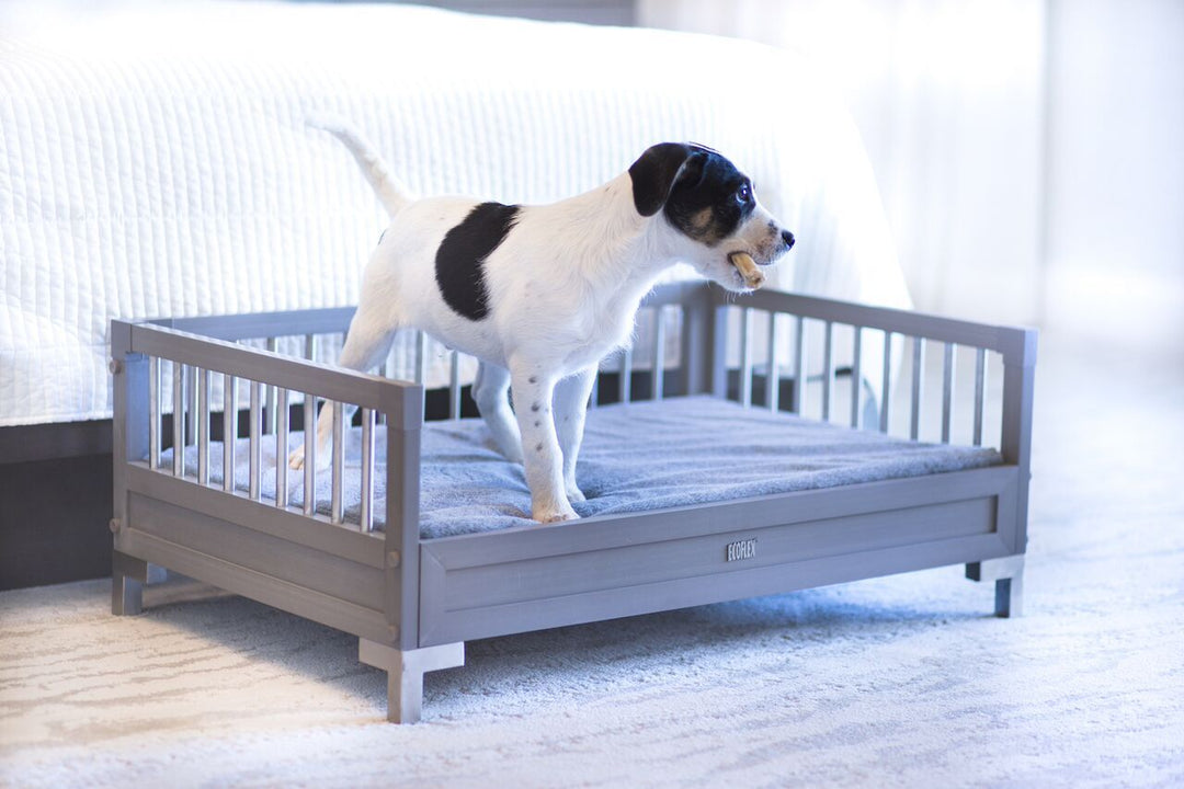 Gray Manhattan dog bed