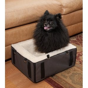 gray dog car seat