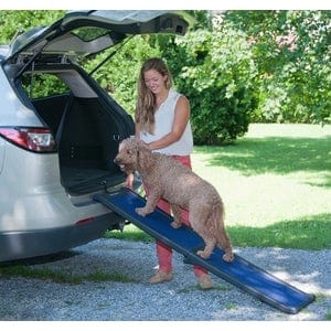 5 feet long folding dog car ramp