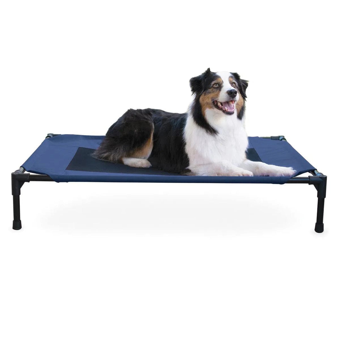 blue raised dog bed-cot