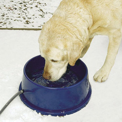 3 quart heated dog water bowl
