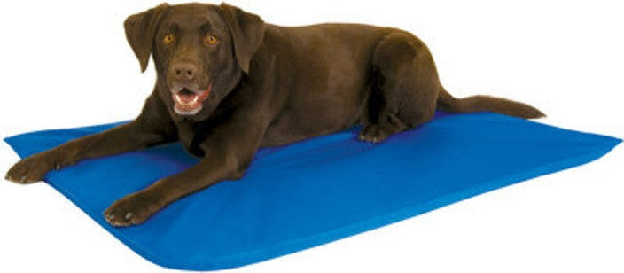 HyperKewl cooling mat for pets