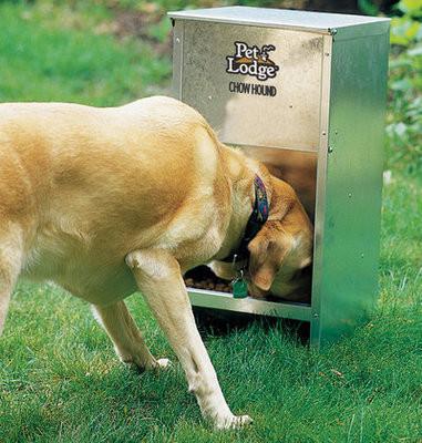 chow hound outdoor-dog-feeder